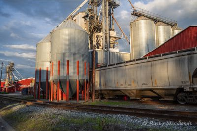 Alaska Mill and Feed