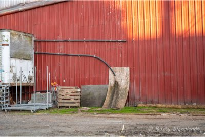 Alaska Mill and Feed