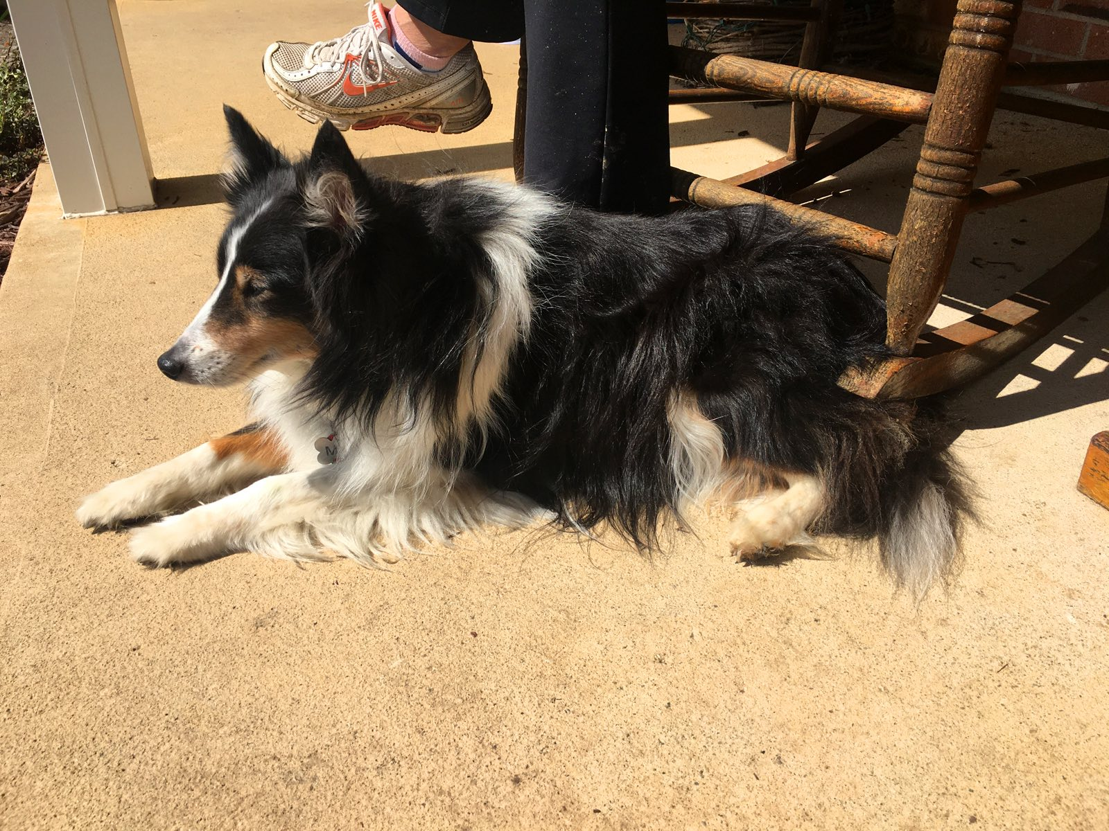 Max on the front porch