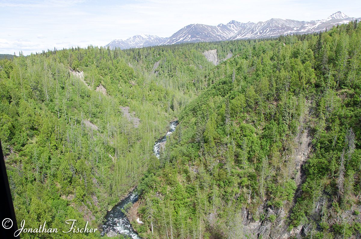 Matanuska