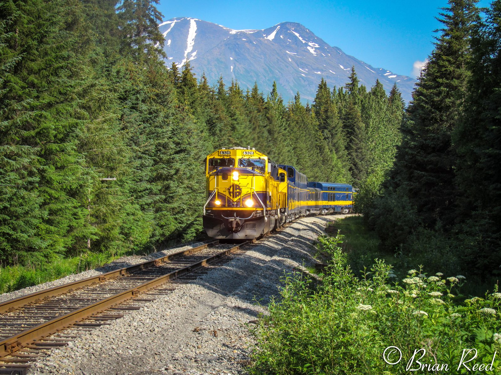 DP Trestle