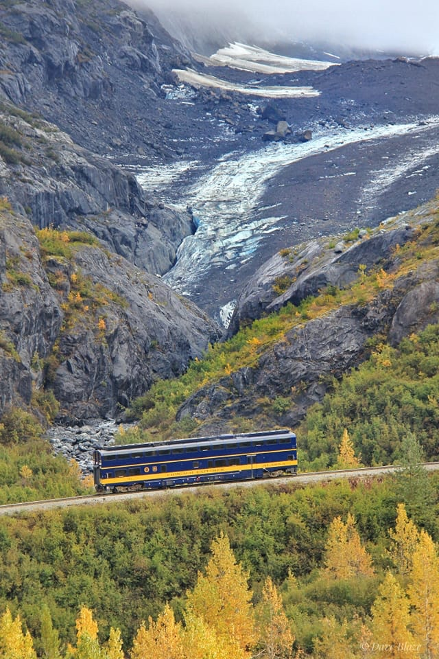 Blue Ice And Golden Leaves