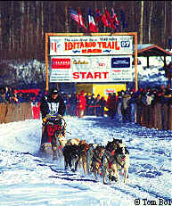 Iditarod