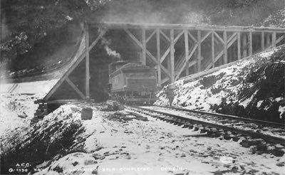 Snow shed