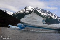 a sea of bergs