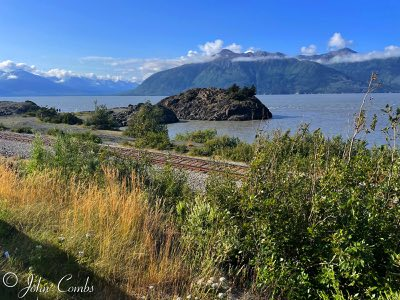 Turnagain Arm