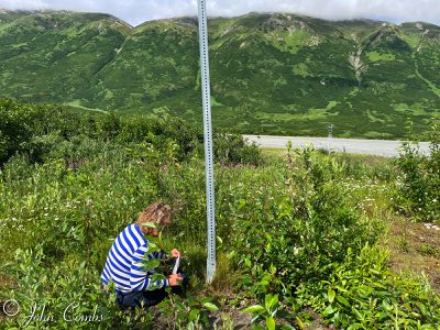 Turnagain Pass