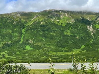 Turnagain Pass