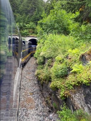 Train to Seward