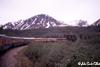 Passenger train in the beautiful Alaskan wilderness