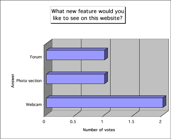 poll 