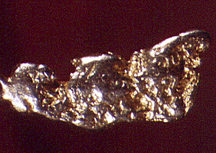 Gold Nugget